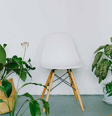 Dry Dog Food for Adult Dogs